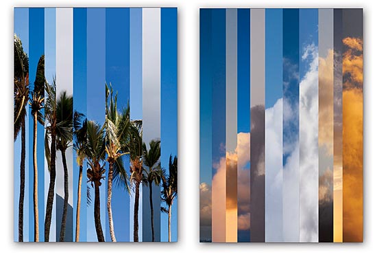 "Palms in the Sky," Matthew Lew, mixed media (paint and photography), $1,700 for two 36-by-24-inch canvases ($1,000 for one); matthewlew.com