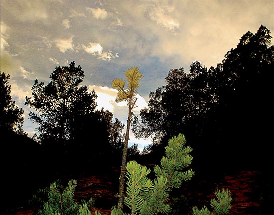 "Taos Return," Damien Fosse, framed limited-edition photographic print, 16 by 20 inches, $225.