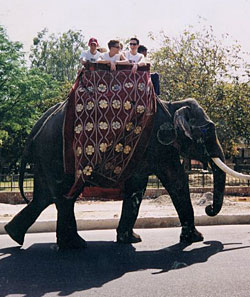 Marsden and friends riding an elephant