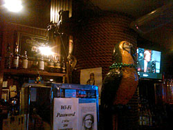 A TV - and parrot - at the bar