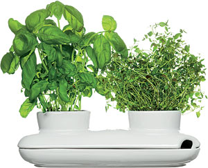 Herb pot duo by Sagaform