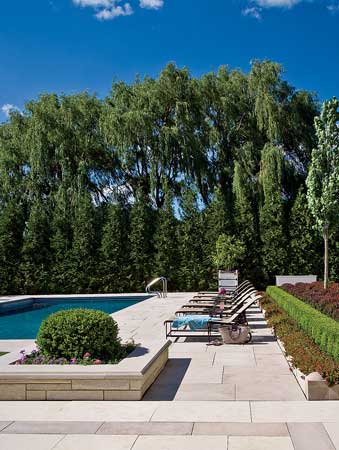 Unfussy barberry and boxwood fill stone planters; in the spring, alliums pop up, adding height and boosting the color quotient. Evergreens provide a natural privacy fence behind the pool.