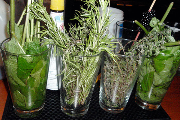 Cocktail herbs at Farmhouse