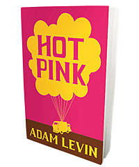 'Hot Pink' by Adam Levin