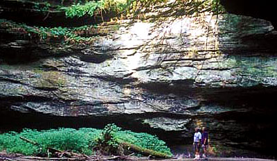 A trail in Parke County's Turkey Run State Park