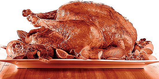 A Thanksgiving turkey