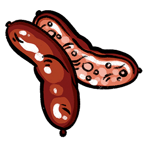 Chorizo illustration