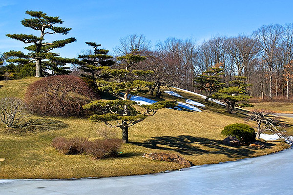 Chicago japanese garden winter