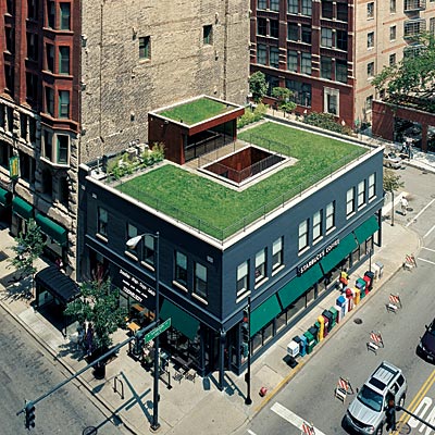 roof garden in Chicago's South Loop
