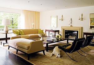 living room in northfield remodel