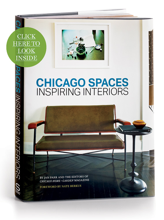 Chicago Spaces Book Cover