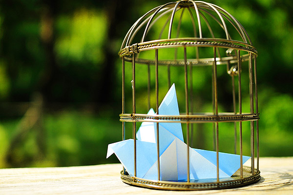 blue bird cage