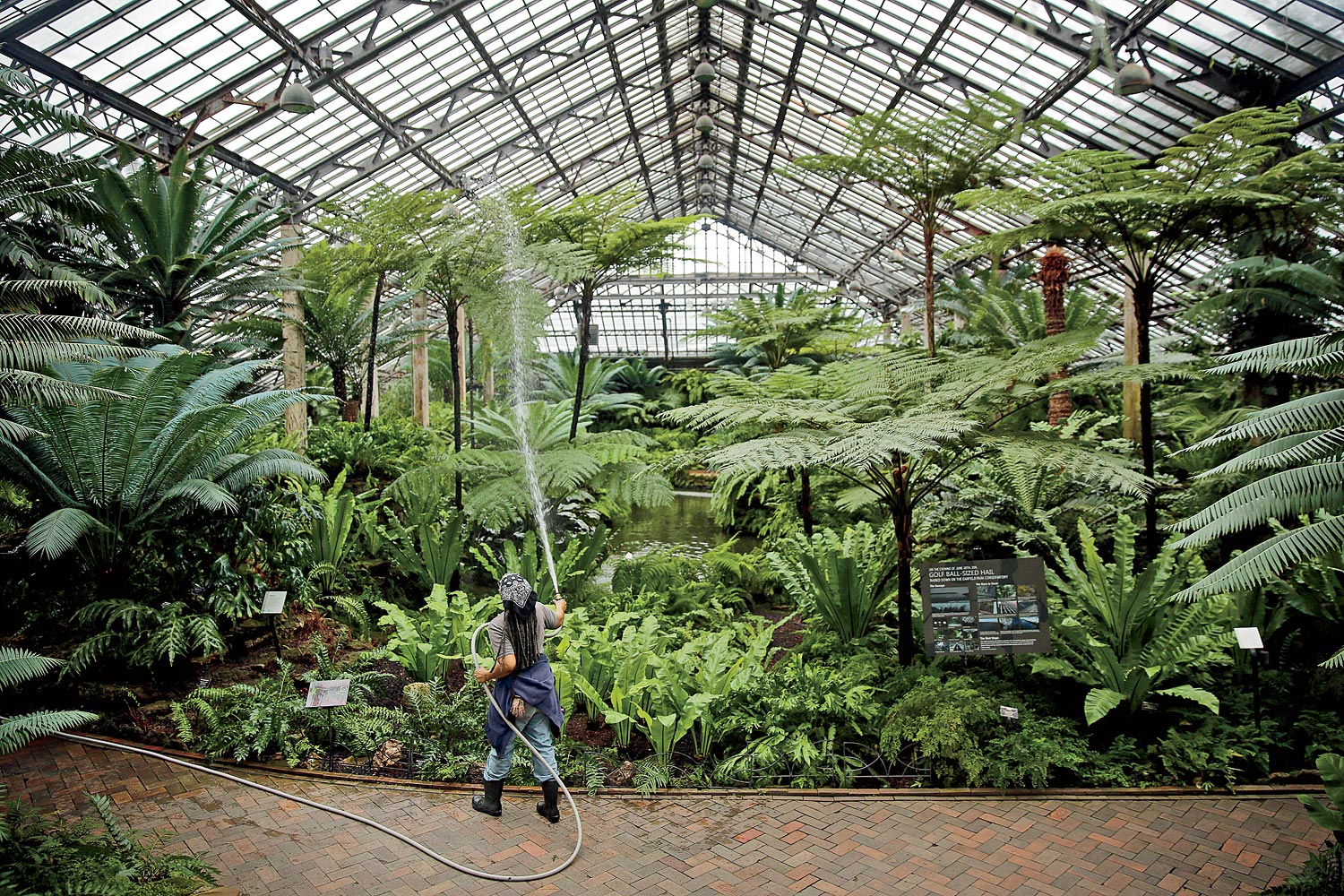 The Garfield Park Conservatory Is Reborn Chicago Magazine