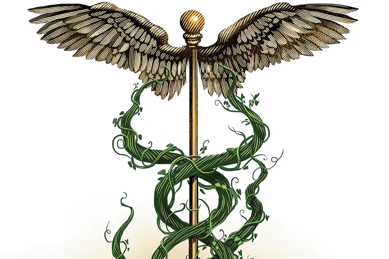 Does Integrative Medicine Really Work Chicago Magazine