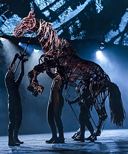 A scene from ‘War Horse’