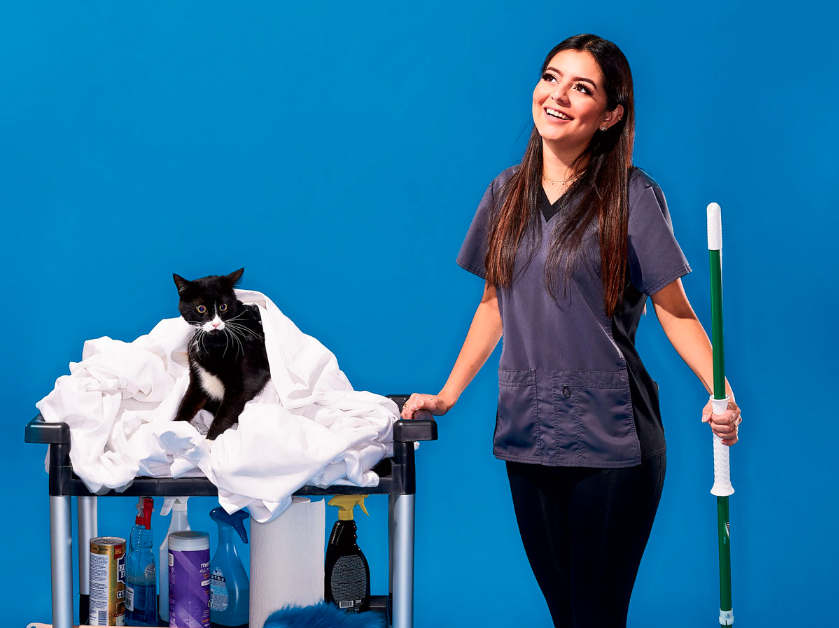 Secrets of a Housekeeper at a PetFriendly Hotel Chicago Magazine