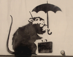 Rat by Banksy