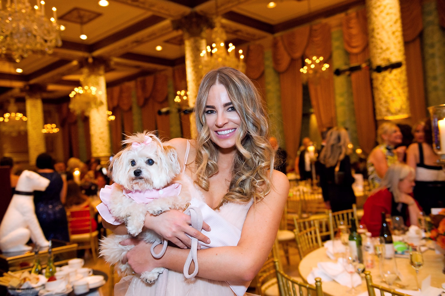 Shots From the 18th PAWS Chicago Fur Ball Chicago Magazine