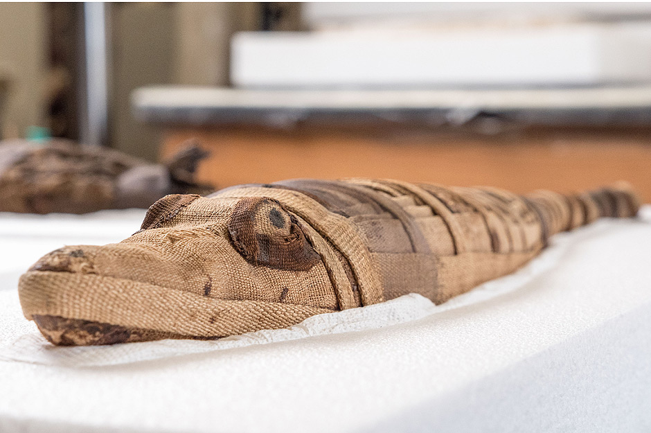 Look Inside Some of the World's Oldest Mummies At the Field Museum