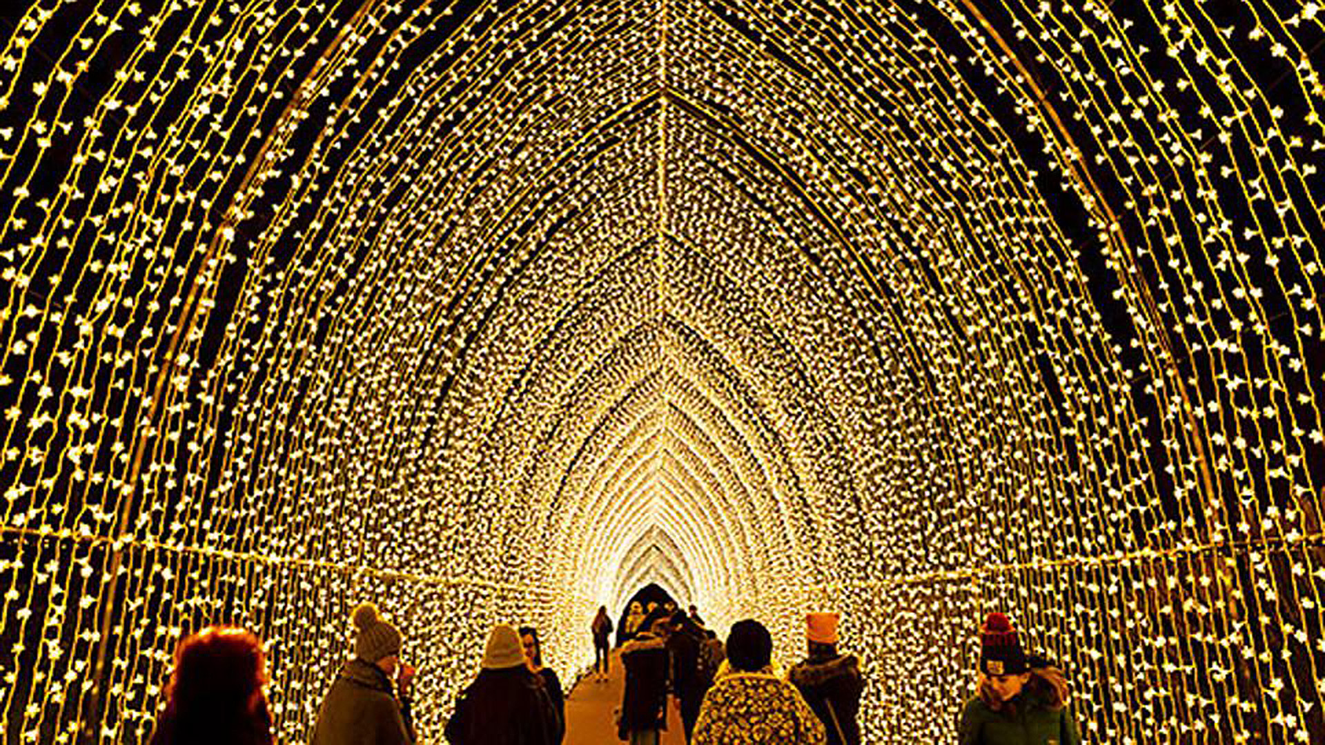 Check Out the Botanic Garden's Twinkly New Light Show Chicago Magazine