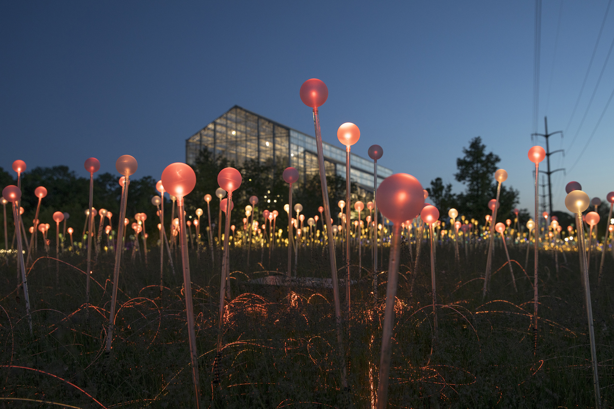 Walk Through Rockford's Stunning New Garden of Light Chicago Magazine