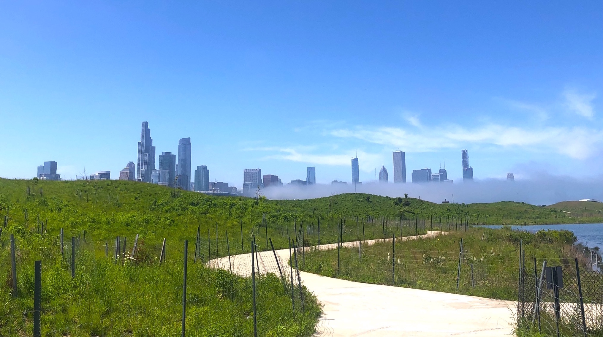 Northerly Island 12th Street Beach Dunes Natural Area