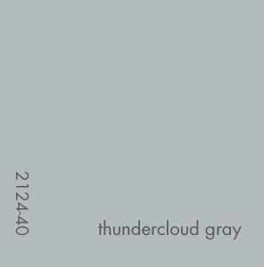 Benjamin Moore Thundercloud Gray