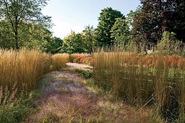 Backyard landscape