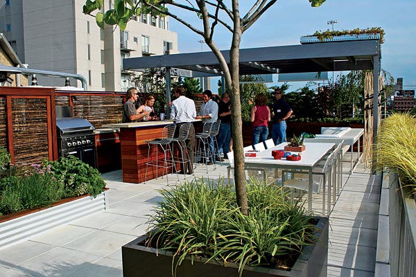 Rooftop deck design by Chicago Specialty Gardens