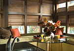 Blinds Factory window treatments