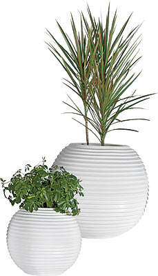 Balocco planters