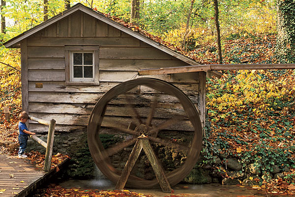 Fall colors at the Fernwood Botanical Garden