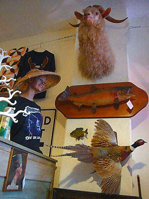 Assorted items at Woolly Mammoth Antiques, Oddities and Resale