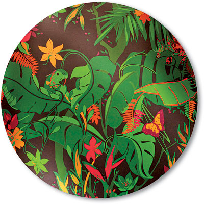 Feroz wallpaper in Jungle Fever by Flavor Paper