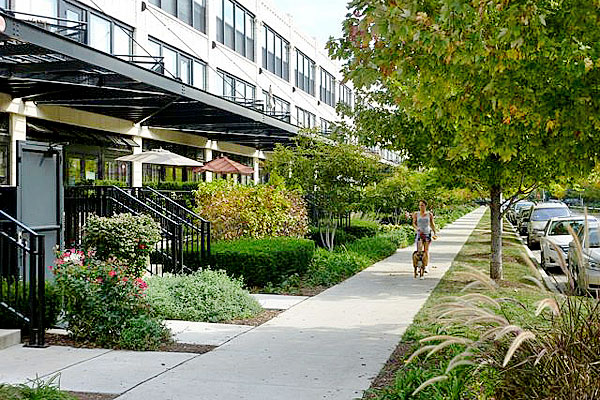 A walkway surrounded by foliage in front of University Commons