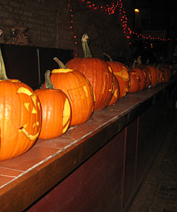 Carved pumpkins, lined up on a shelf