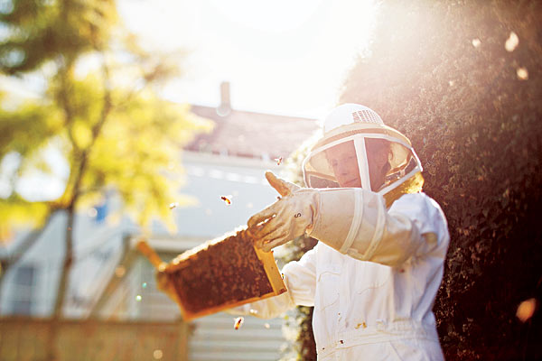 Kelly McKaig inspecting a beehive