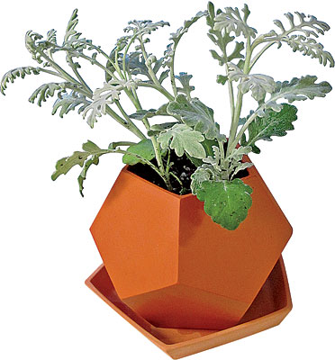 Geo planter