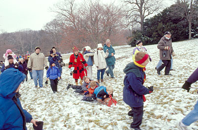 A day of fun in the snow at Morton Arboretum's annual Yule Log Hunt