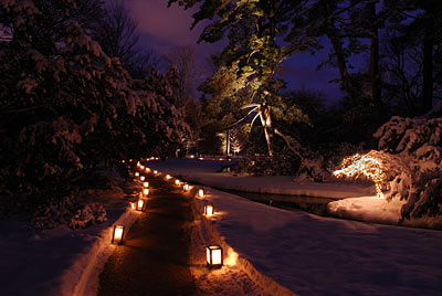 A beautiful night scene at Dow Gardens