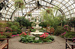 A fountain surrounded by greenery at the Lincoln Park Conservatory