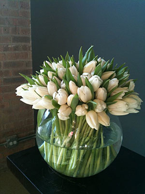 White tulips from Epoch on display