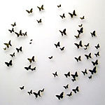 A display of black butterflies by Paul Villinski