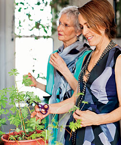 Laura Letinsky trimming her plants