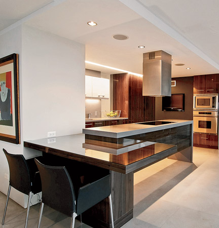 A drywalled structural column anchors the eight-foot-long L-shaped island that Bill Rodon-Hornof of 2RZ Architecture created in this Lincoln Park condo.