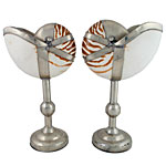 Nautilus shells mounted on silver-plated stands from Branca