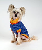 A dog wearing a DIY sweater