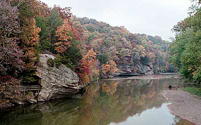 Colorful trees along a river in Indiana