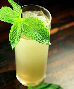 Derby's mint julep