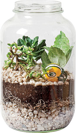 TERRARIUM